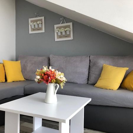 Charming Rijeka City Center Apartment Renee المظهر الخارجي الصورة