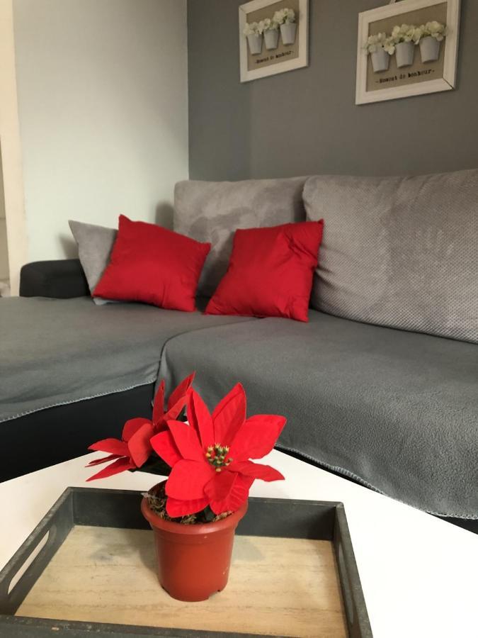 Charming Rijeka City Center Apartment Renee المظهر الخارجي الصورة